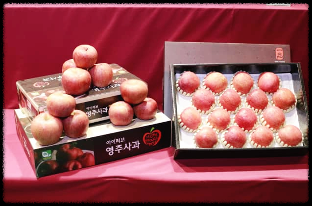  영주사과 : 경북 영주에서 생산되는 맛과 향이 아주 뛰어난 우리나라 대표사과