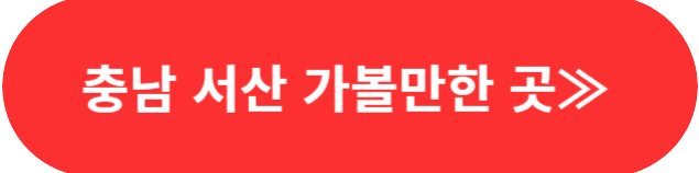 생생정보 믿고 떠나는 스타의 고장