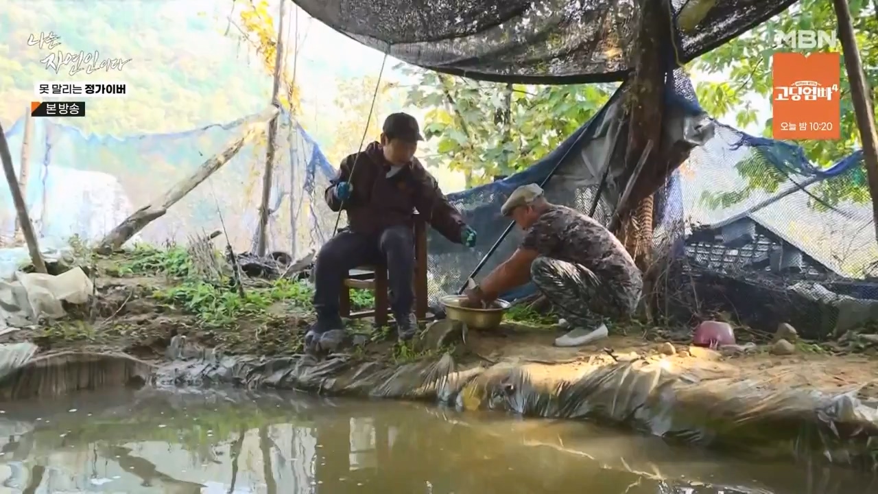 나는 자연인이다.E580.231116p-NEXT.mp4_20231116_202503.681.jpg