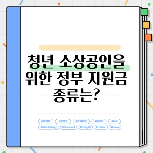 청년 소상공인을 위한 정부 지원금 종류는?