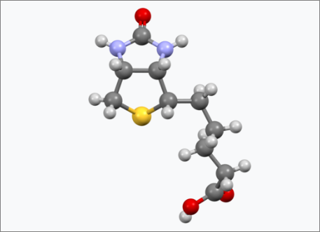 비오틴 분자모형