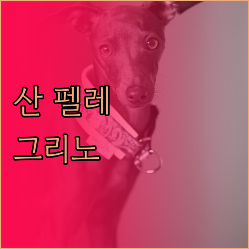 산 펠레그리노 여행, 호텔 TEA에서