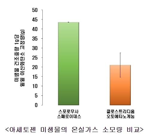 한국형 자생 아세토젠&#44; 해외 상업 미생물보다 분해 능력 두 배 이상 높아
