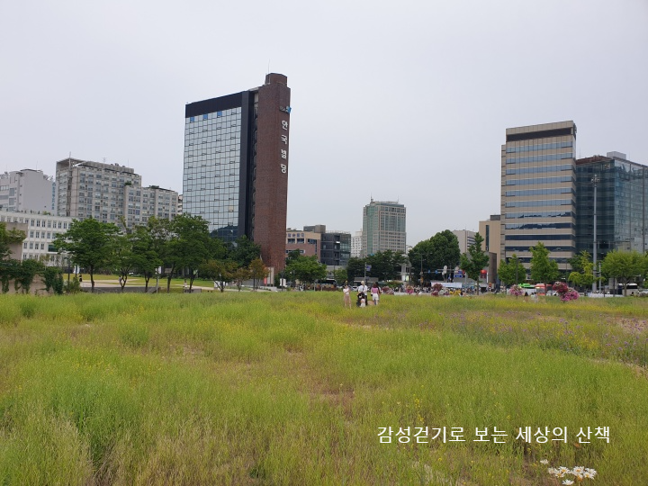 열린송현녹지광장
