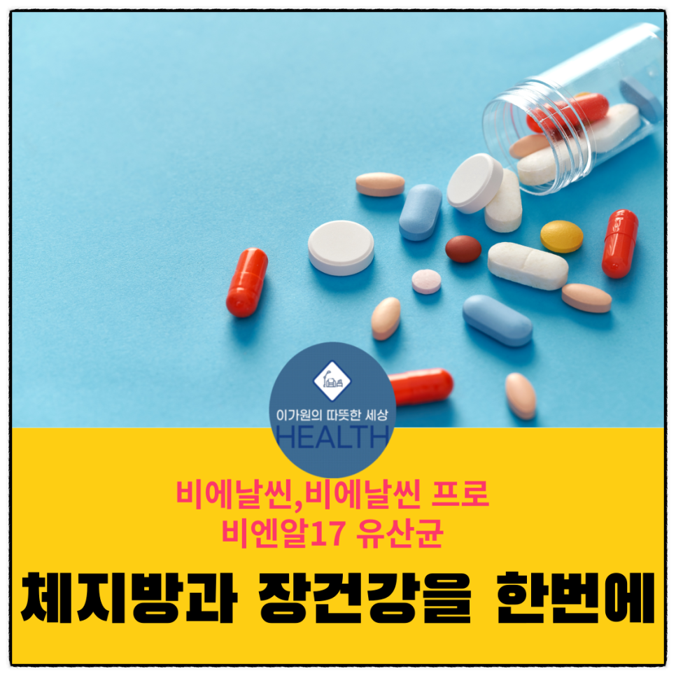  다이어트와 유산균으로 좋은 비에날씬,비에날씬 프로,비에날17유산균 총정리