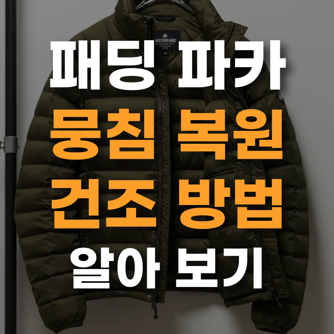 패딩 파카 이미지