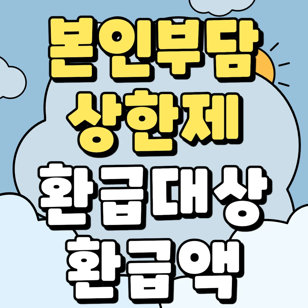 본인부담상한제 의료비 환급방법, 환급 대상, 환급액 정리한 블로그 포스팅 섬네일 사진