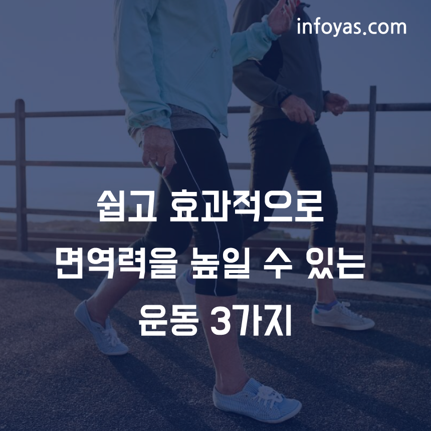 효과적인 면역력 운동 3가지