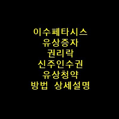 이수페타시스유상증자방법총정리