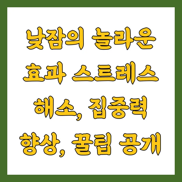 낮잠의 놀라운 효과 스트레스 해소, 집중력 향상, 꿀팁 공개
