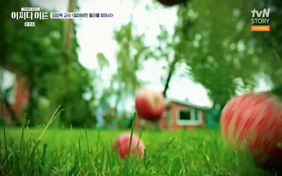 어쩌다 어른.E02.220617p-NEXT.mp4_20220828_143548.871.jpg