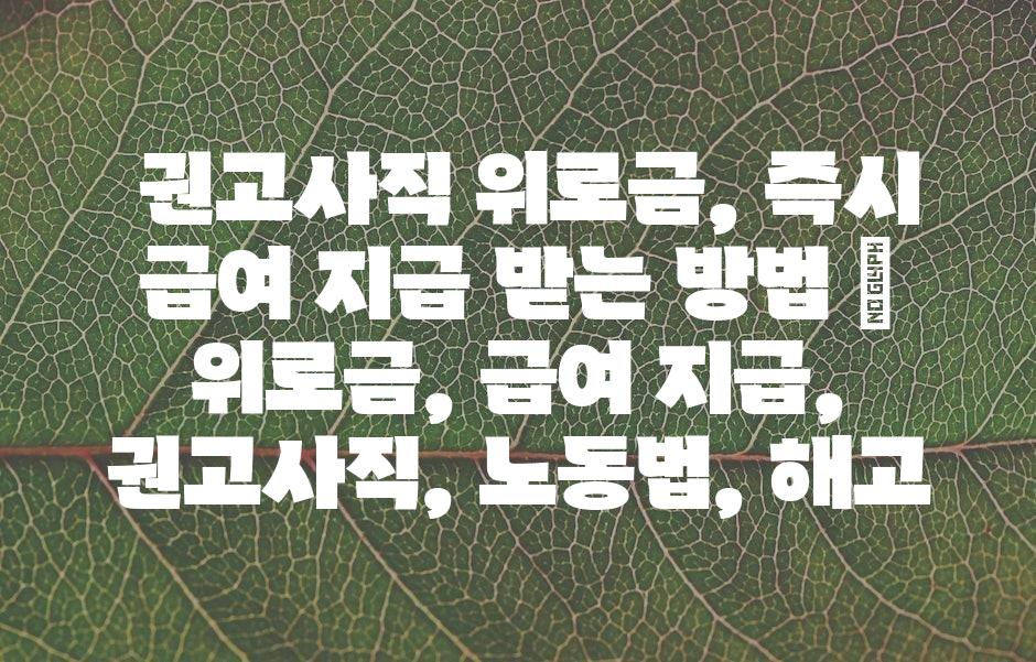 샘플 (43)