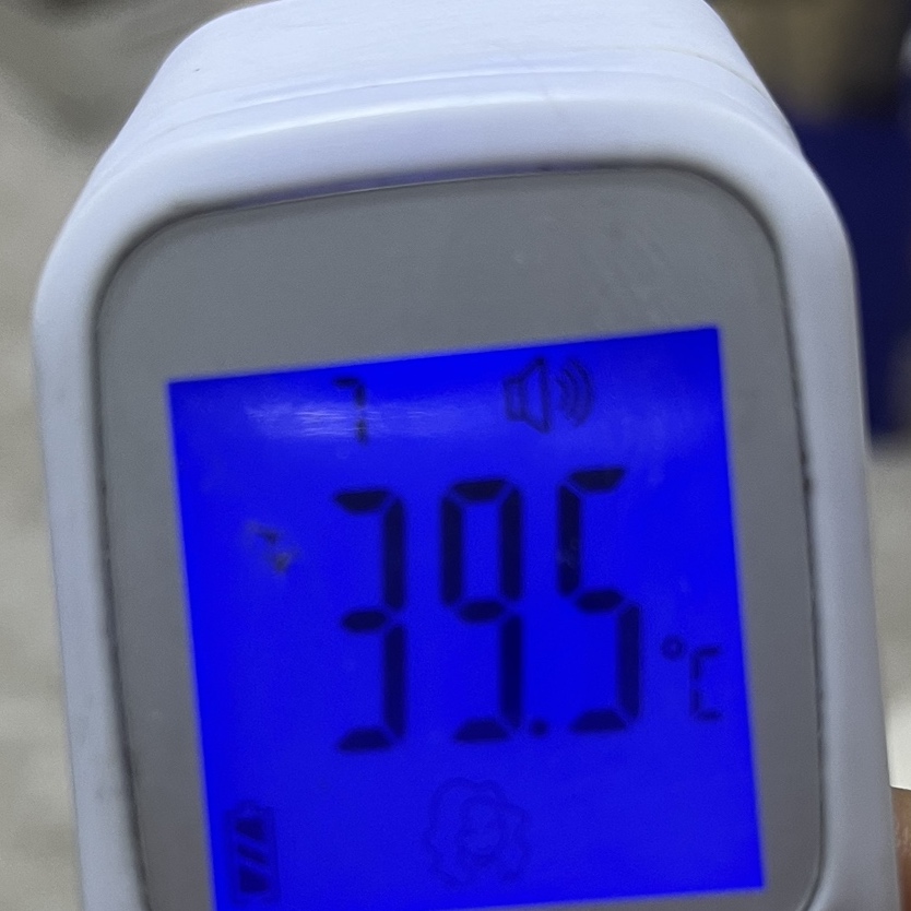 원광대학교 병원 코로나 [코로나19극복기]산본 원광대학교병원 코로나PCR검사 11