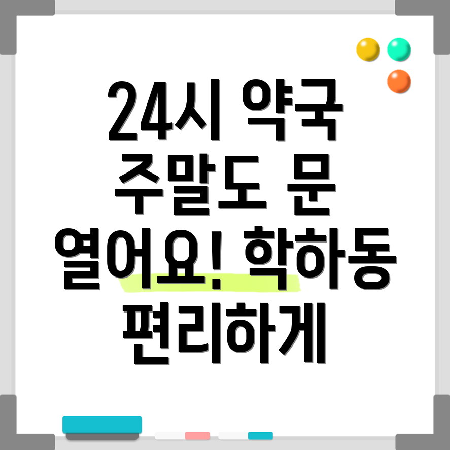 대전 유성구 학하동 24시 약국