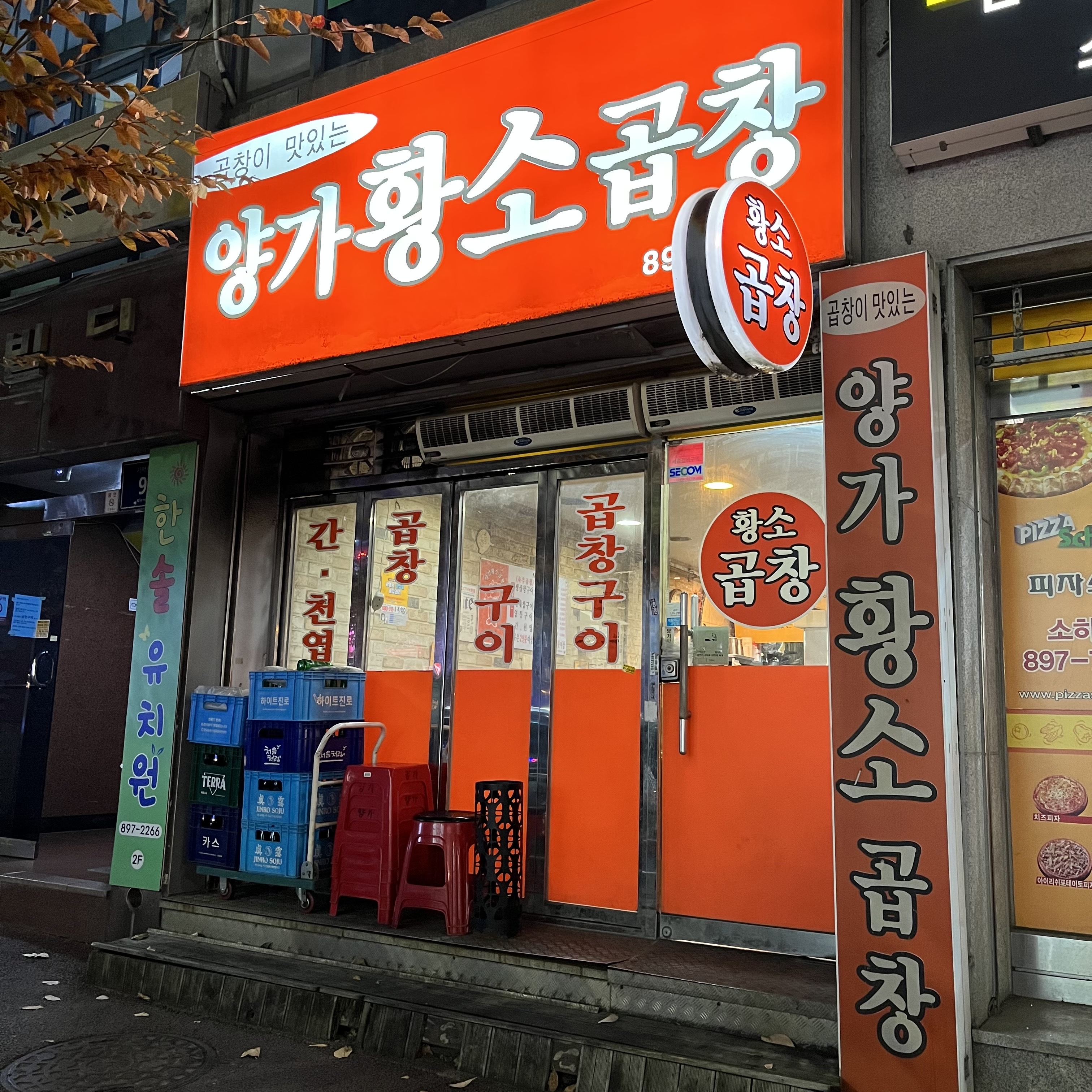 양가황소곱창 이미지
