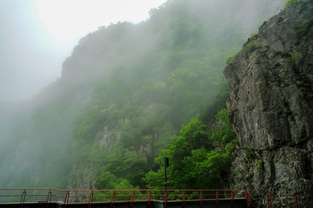 마늘로드 한국 명산 경북 구미 금오산 등산 mountain hiking