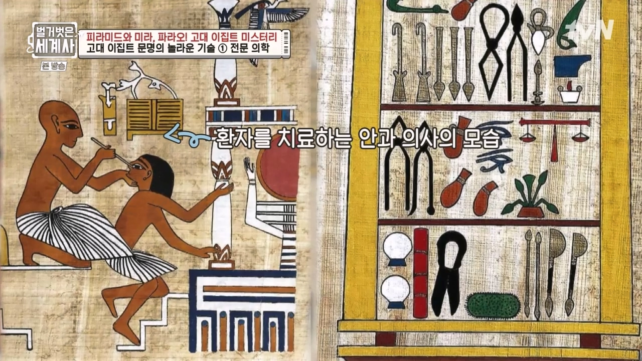 벌거벗은 세계사.E91.230322p-NEXT.mp4_20230422_182027.661.jpg