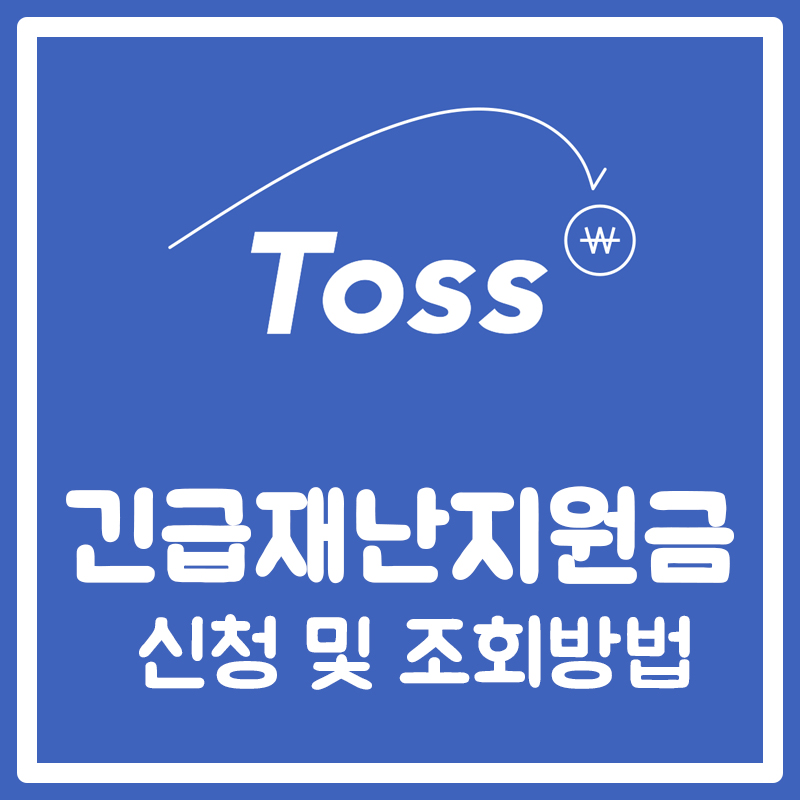  긴급 재난지원금 신청 및 조회방법 (국민카드, 토스)
