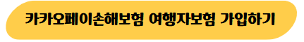 카카오페이손해보험 여행자보험 가입하기