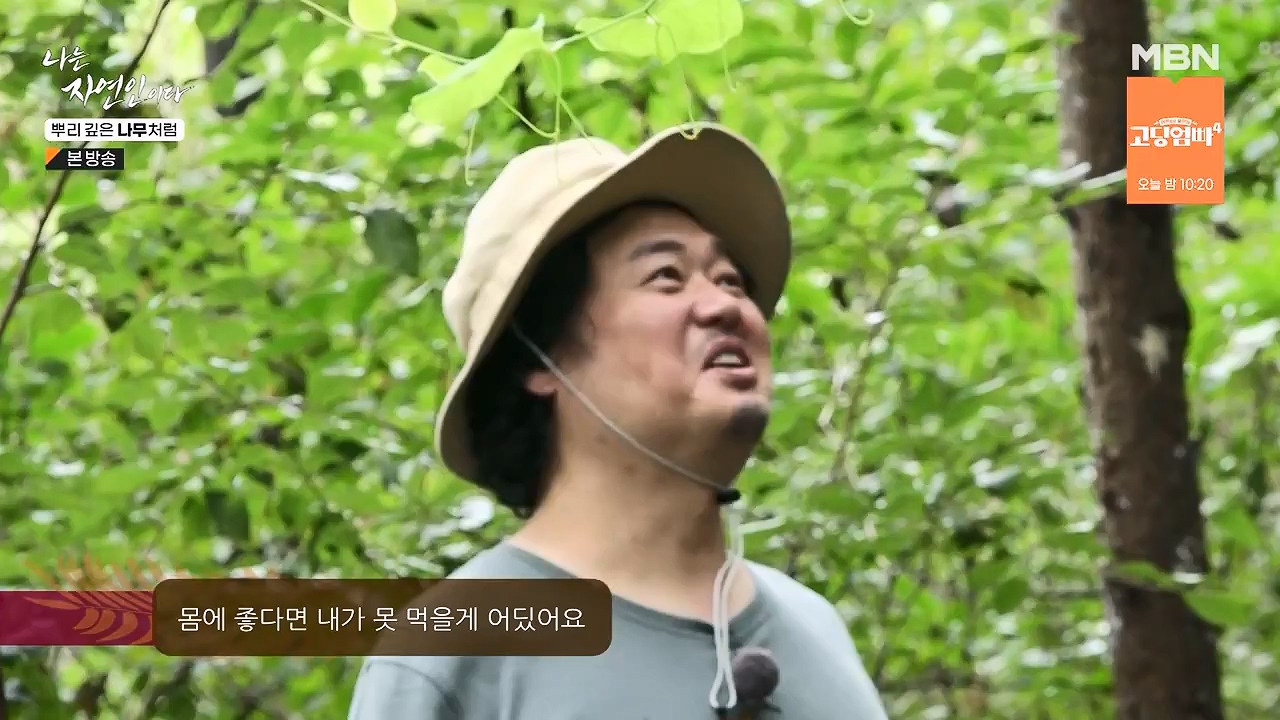 나는 자연인이다.E571.230914p-NEXT.mp4_20230914_202147.785.jpg