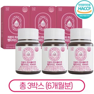 저분자 콜라겐 추천