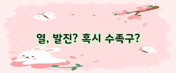 수족구병 증상 및 예방 조치