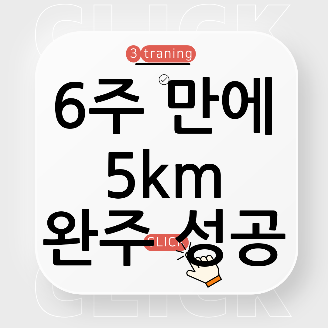초보 러닝