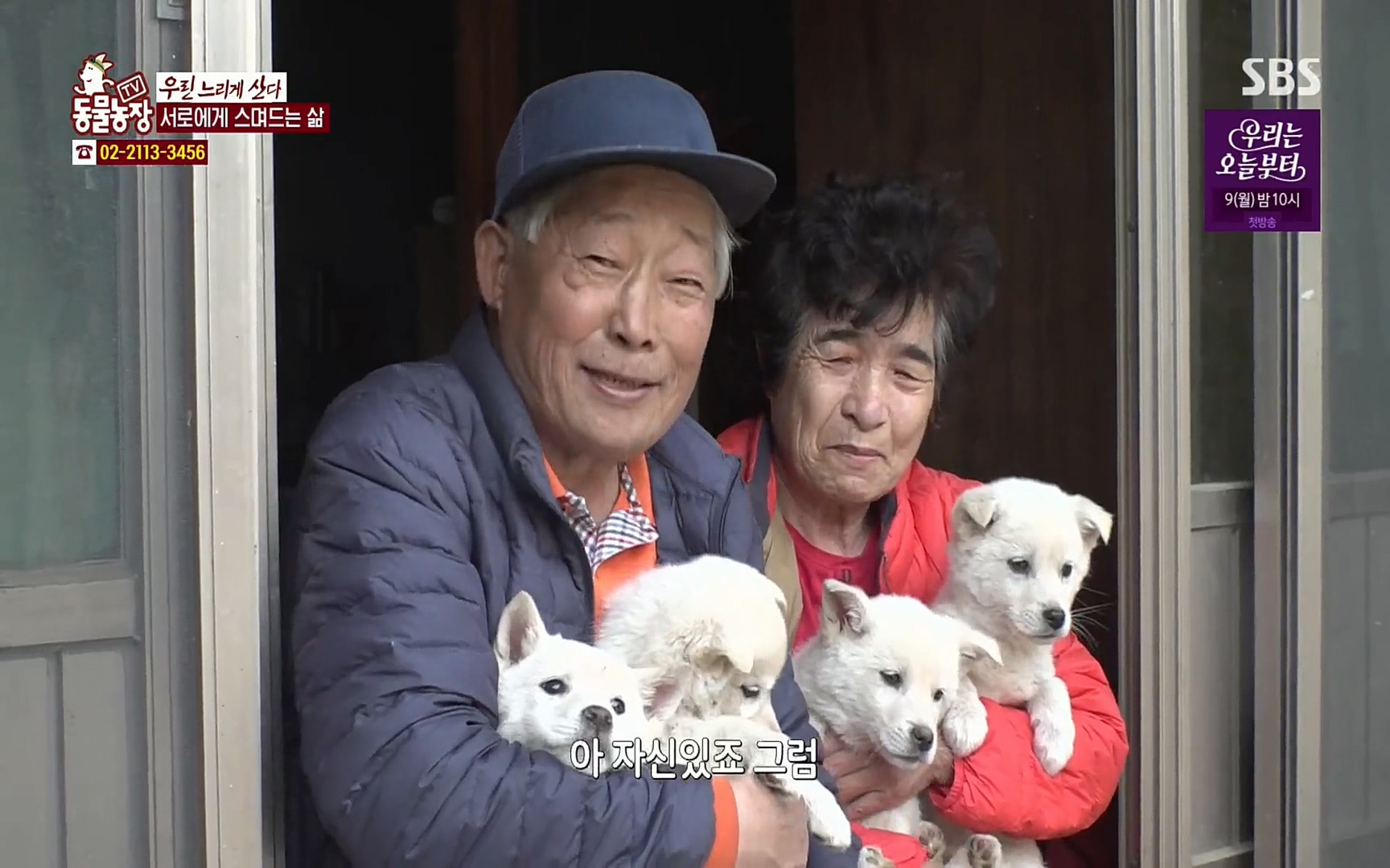 TV 동물농장.E1067.220501p.H264-F1RST.mp4_20220501_184812.925.jpg