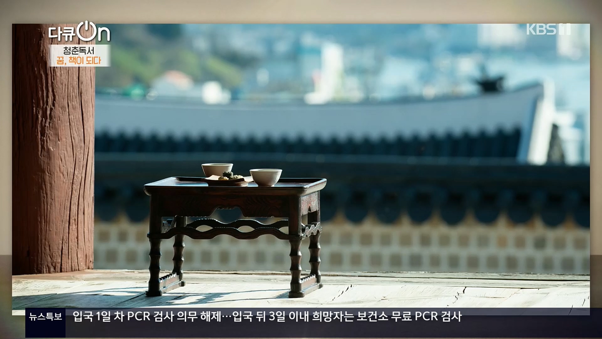 다큐 On.E164.221021p.H264-F1RST.mp4_20221022_173325.611.jpg