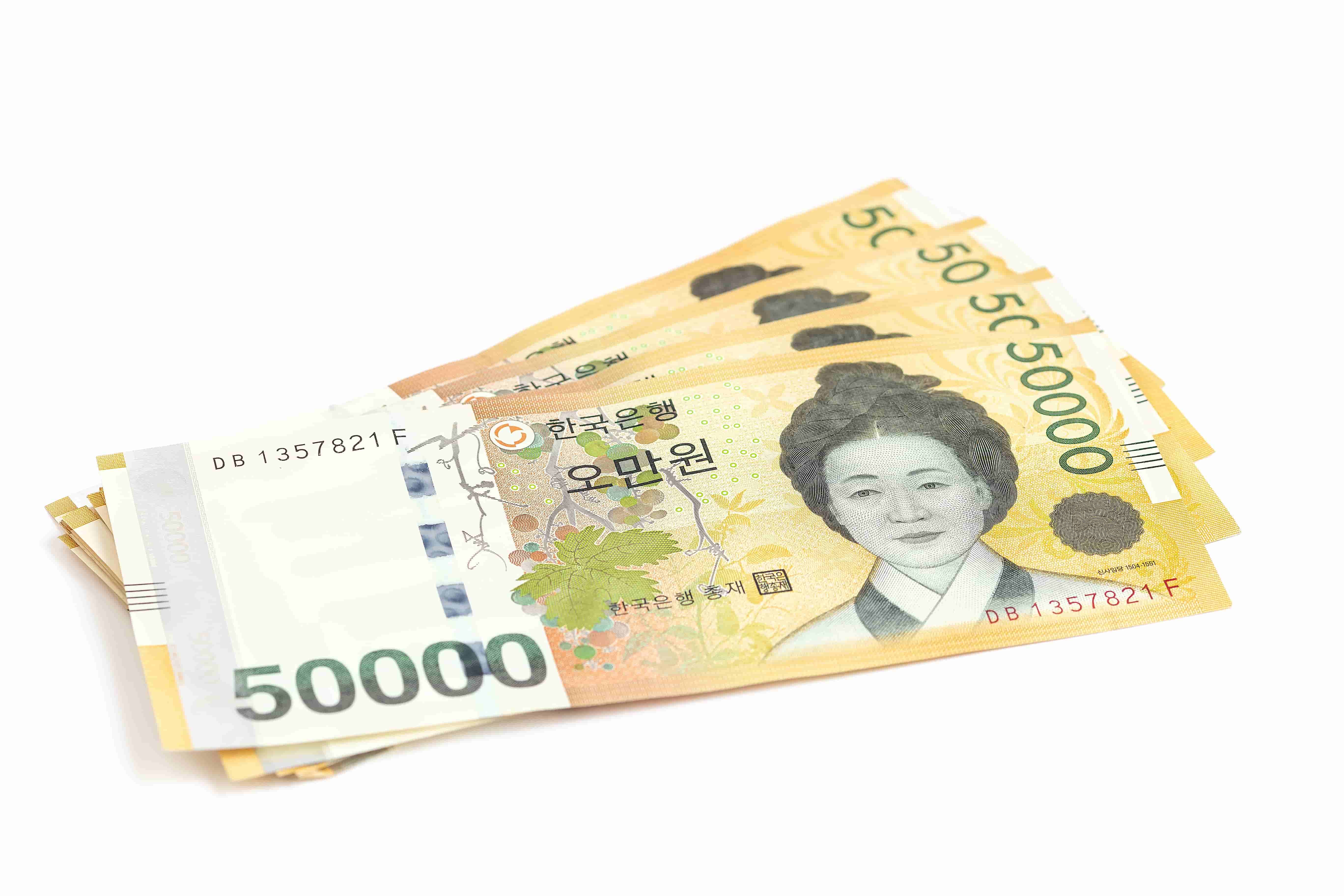 한국의 오만 원 권 지폐