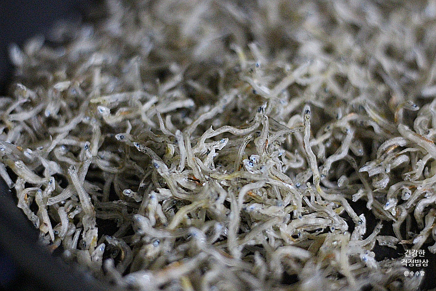 그 효능과 하루권장량 체크 마그네슘 폭탄 호박씨와 멸치 13