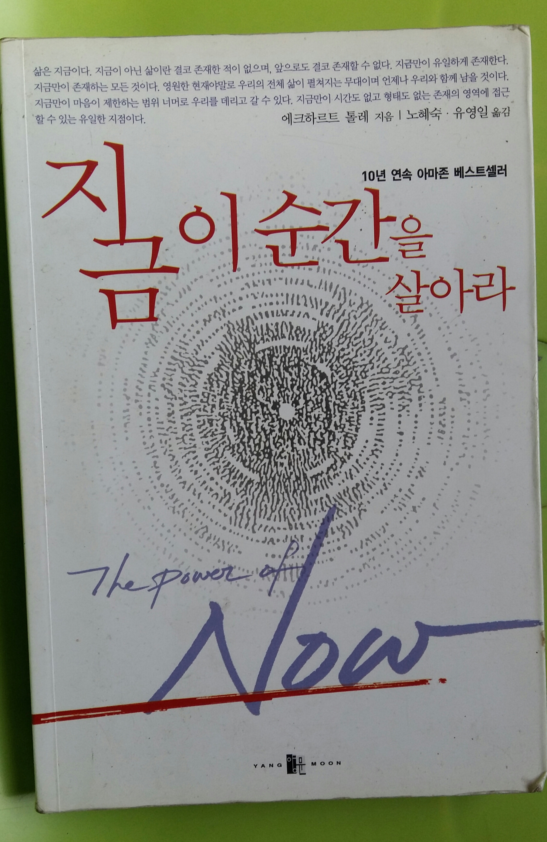  에크하르트 톨레의 지금 이 순간을 살아라 북리뷰