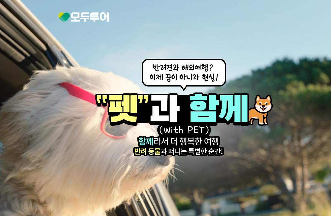 (주)메가투어 이미지