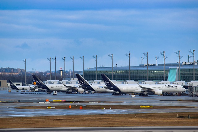 김포공항 포항경주공항 제주공항 항공기 운항 시간표 항공권 예약 포항경주공항 주소 대중교통4