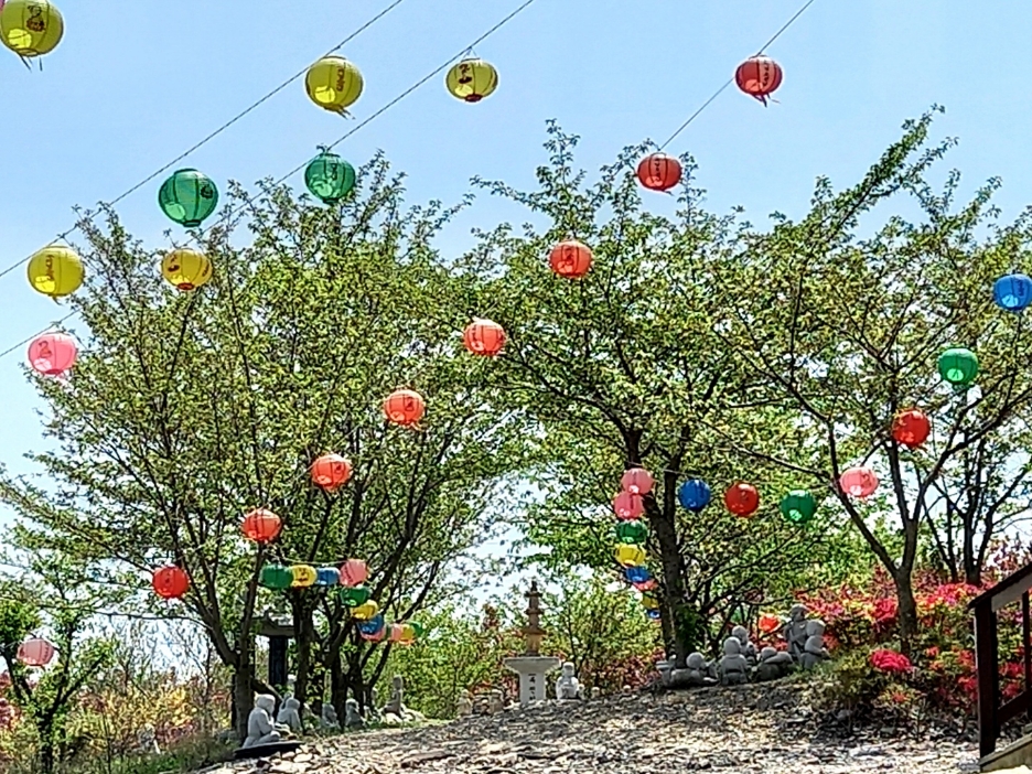 img.jpg