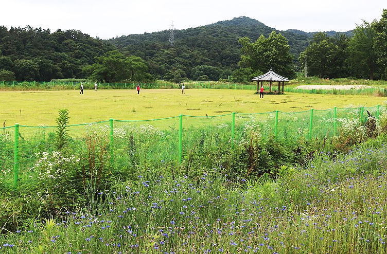 광주 서봉파크골프장. 광주 광산구 서봉동 205-6 (호남대학교 바로앞)