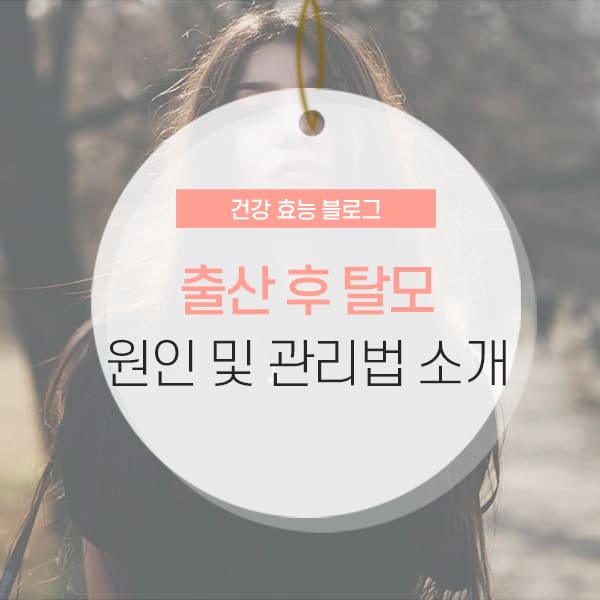 출산 후 탈모 원인 및 시기 소개 콘텐츠