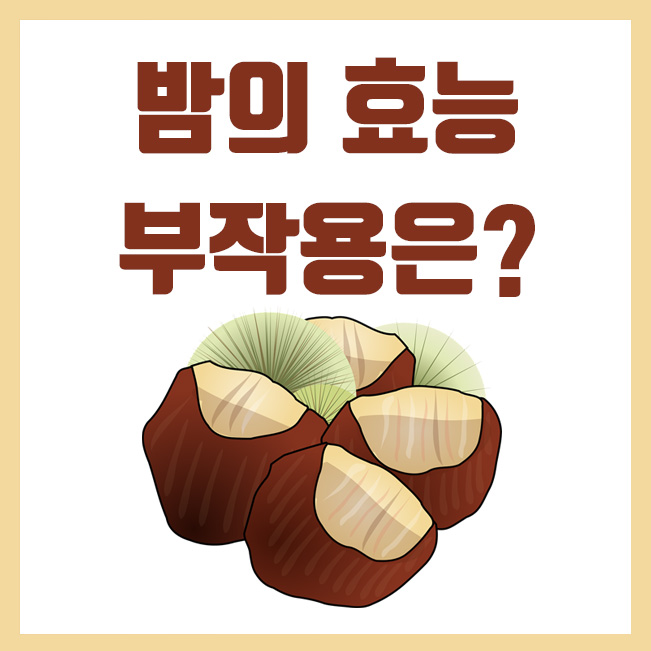  밤의 효능, 6가지 천연 영양소 그리고 부작용은?