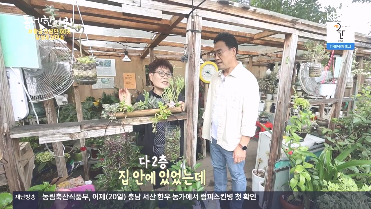 동네 한 바퀴.E244.231022p-NEXT.mp4_20231022_164218.069.jpg