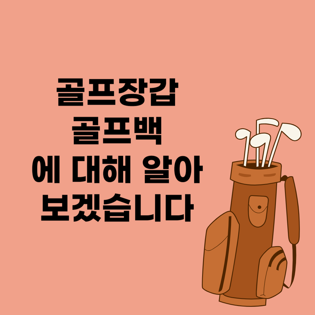 골프장갑과 골프백