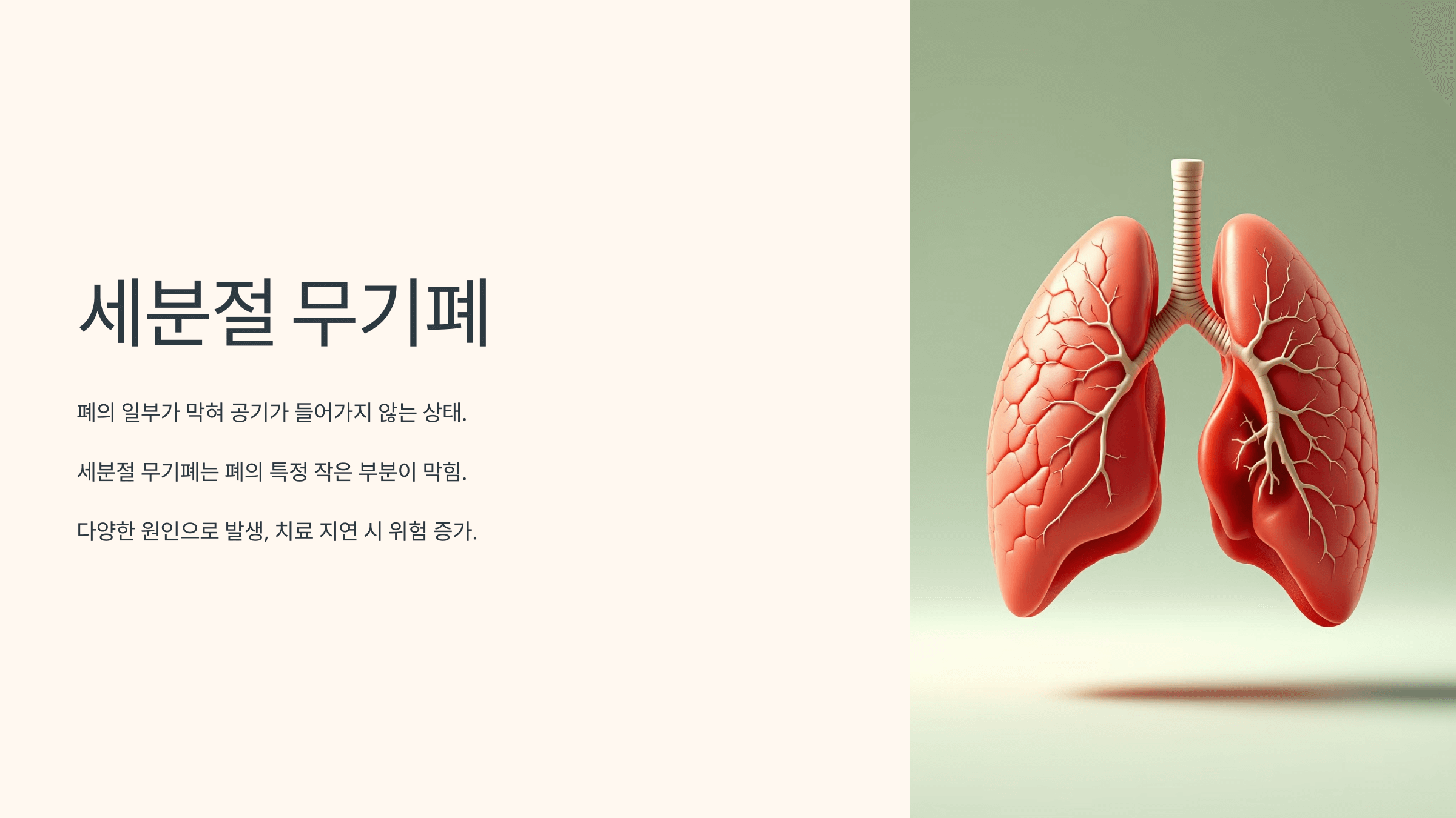 세분절 무기폐와 관련된 사진입니다.