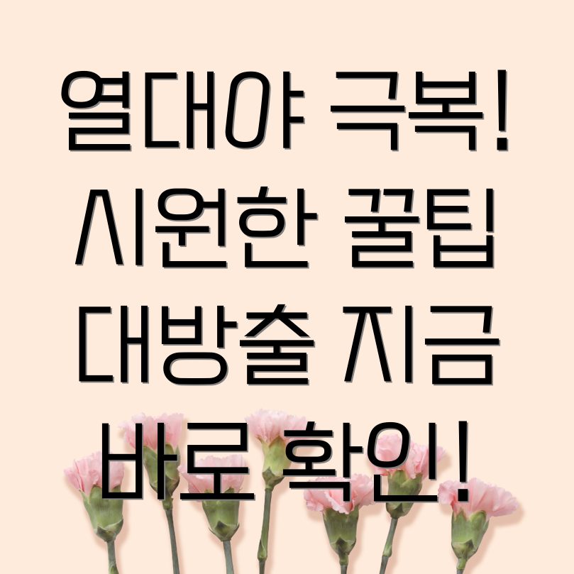 열대야 극복