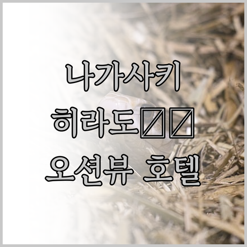 나가사키 히라도 여행! 히라도 가이죠