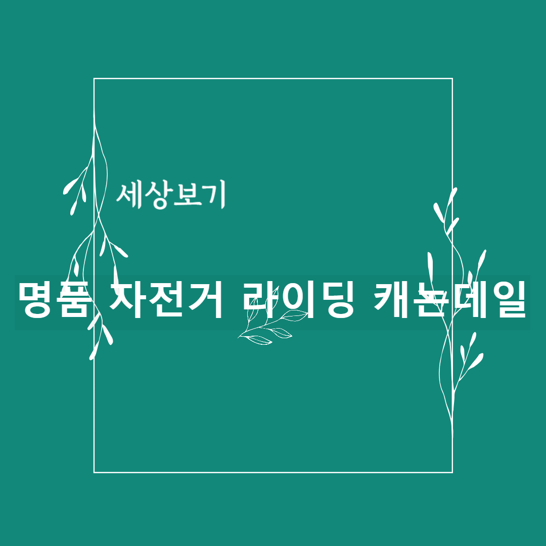자전거 캐논데일