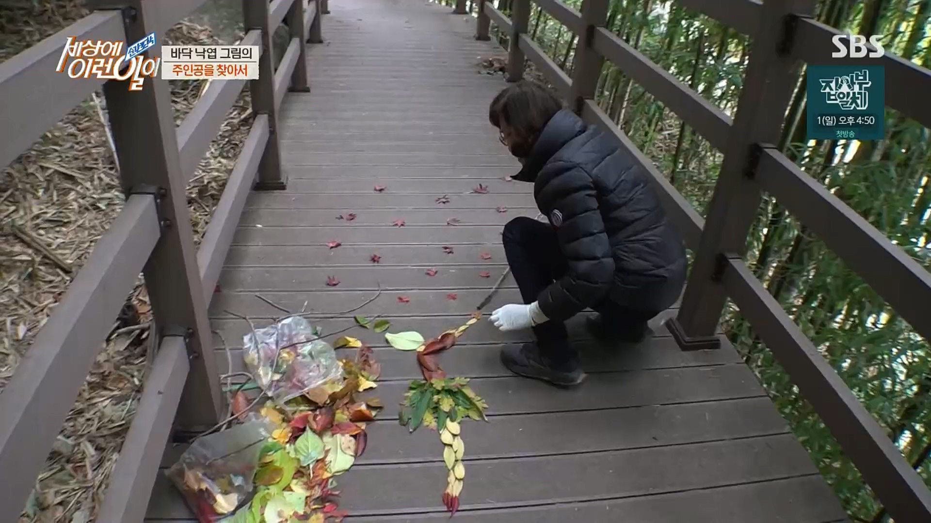순간포착 세상에 이런일이.E1211.221227p.H264-F1RST.mp4_20221228_195148.277.jpg