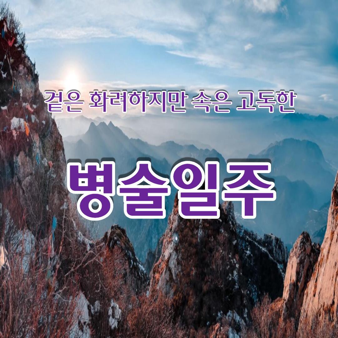  23. 겉은 화려하지만 속은 고독한 병술일주