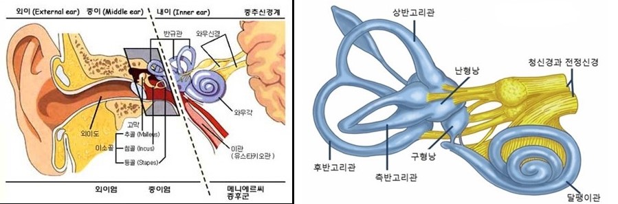 금호튼튼한의원 이미지