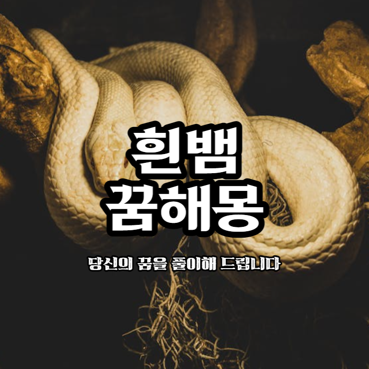 흰뱀_꿈해몽