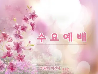 5월 수요예배 대표기도문 모음집_15