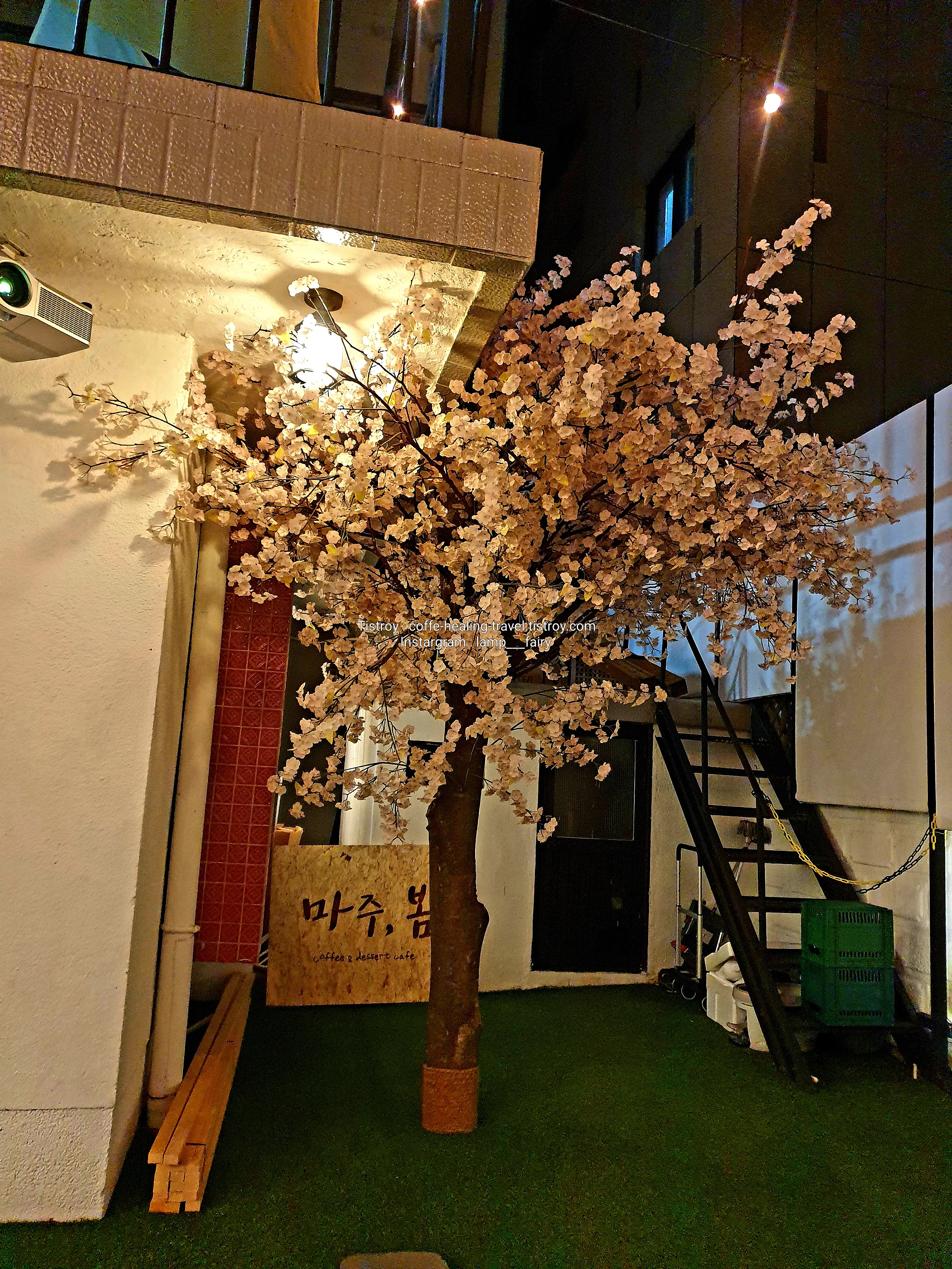 [대구/중구] 교동 "마주봄" 루프탑 인스타감성 포토존 카페